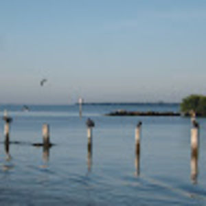 Meet your Posher, Dave